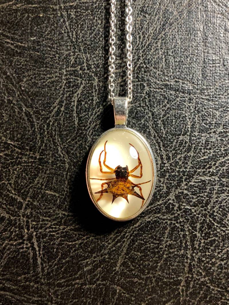 Einfache Silber Spiny Orb Weberspinne Specimen in Harz Cameo Maskulinum Halskette Geier Kultur Spike Arachnophobie Schmuck von TheCuriositeer