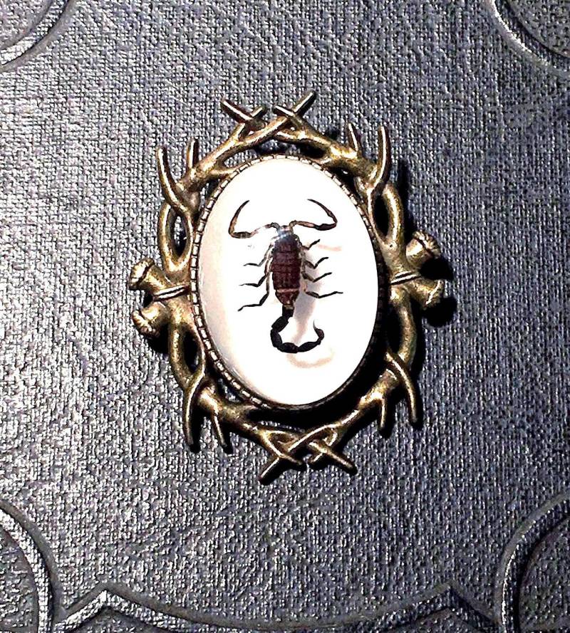 Geweih Eingerahmt Echte Schwarze Skorpion Brosche Konservierte Spinnentier Specimen in Harz Bronze Spiked Geier Kultur Cameo Pin Geweih Eingerahmt Echte Schwarze Skorpion Brosche Konservierte Spinnentier Specimen in Harz Bronze Spiked Geier Kultur Cameo Pin von TheCuriositeer