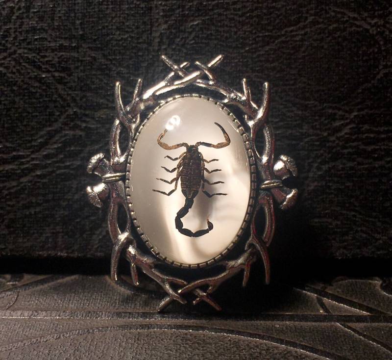 Geweih Rahmen Echte Schwarze Skorpion Brosche Konservierte Spinnentier Probe Harz Geier Kultur Cameo Silber Ton Pin von TheCuriositeer