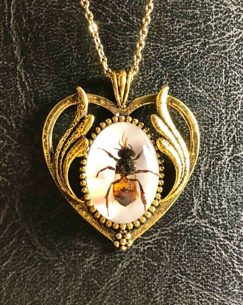 Gold Herz Honig Biene Specimen Lünette in Harz Insekt Cameo Entomologie Bug Halskette von TheCuriositeer