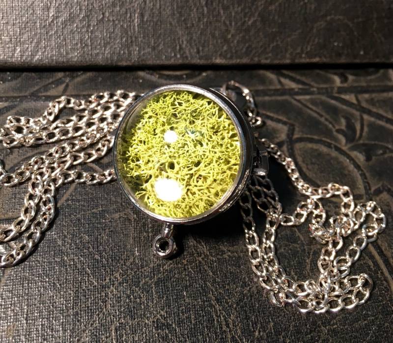 Grüne Natur Kugel Moos Terrarium Lebende Flechte Hellgrün Bio Lupe Spinner Silber Metall Lange Halskette Grüne Natur Kugel Moos Terrarium Lebende Flechte Hellgrün Bio Lupe Spinner Silber Metall Lange Halskette von TheCuriositeer
