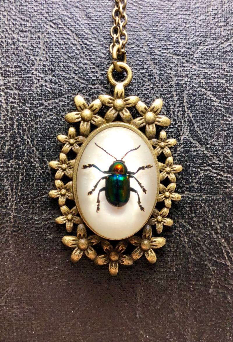 Regenbogen Metallic Grün Blatt Bronze Blume Insekt Echt Probe in Harz Cameo Blumen Rahmen Geier Kultur Entomologie Regenbogen Metallic Grün Blatt Bronze Blume Insekt Echt Probe in Harz Cameo Blumen Rahmen Geier Kultur Entomologie von TheCuriositeer