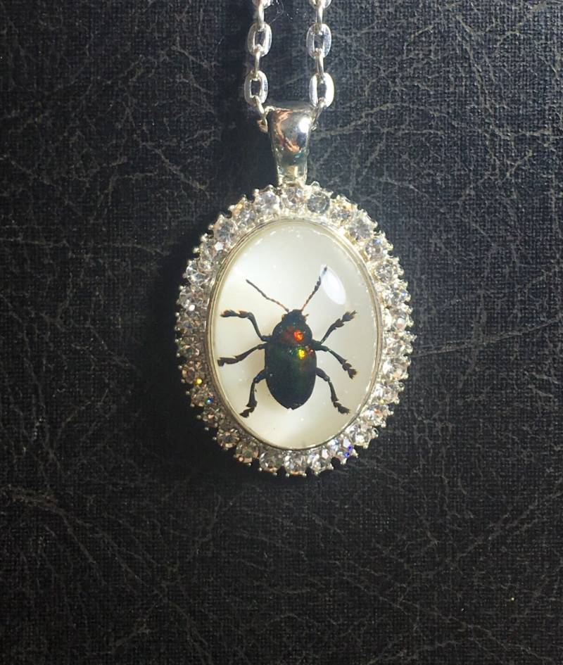 Regenbogen Rhinestone Juwel Blattkäfer Metallic Grün Insekt Bug Entomologie Klare Schein Probe in Harz Cameo Geier Kultur Halskette Regenbogen Rhinestone Juwel Blattkäfer Metallic Grün Insekt Bug Entomologie Klare Schein Probe in Harz Cameo Geier Kultur Halskette von TheCuriositeer