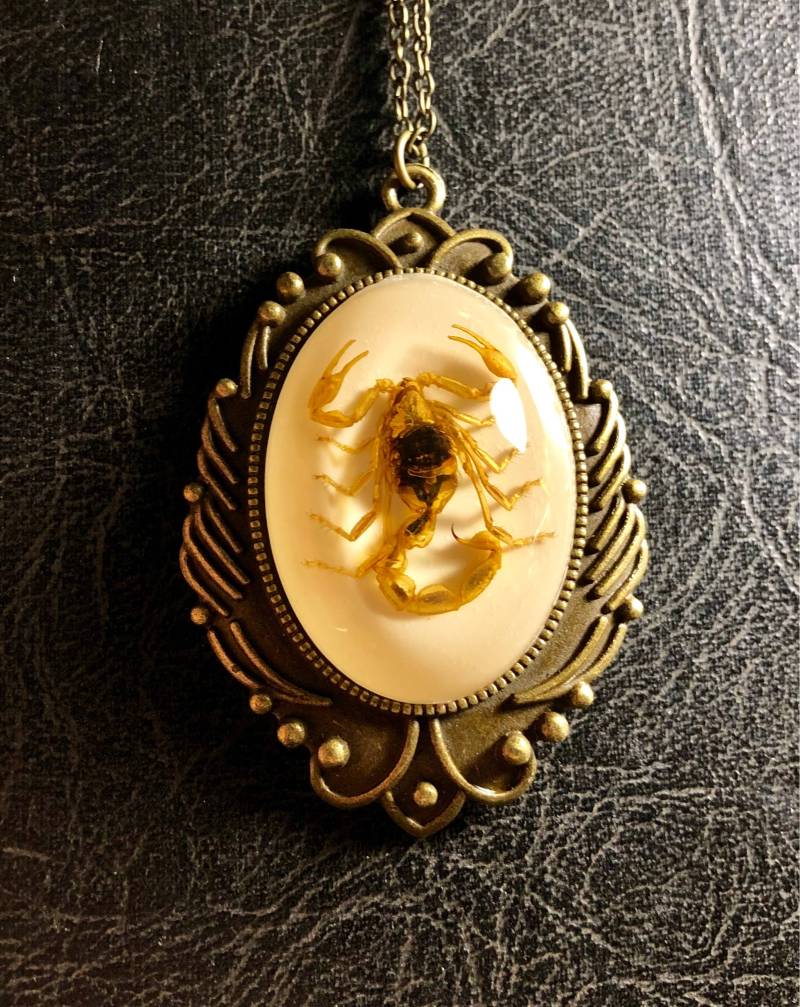 Riesige Echte Goldene Gelbe Skorpion-Probe in Weißer Harz-Cameo-Blumen-Rolle-Entomologie-Geier-Kultur-Wanzen-Halskette Riesige Echte Goldene Gelbe Skorpion-Probe in Weißer Harz-Cameo-Blumen-Rolle-Entomologie-Geier-Kultur-Wanzen-Halskette von TheCuriositeer