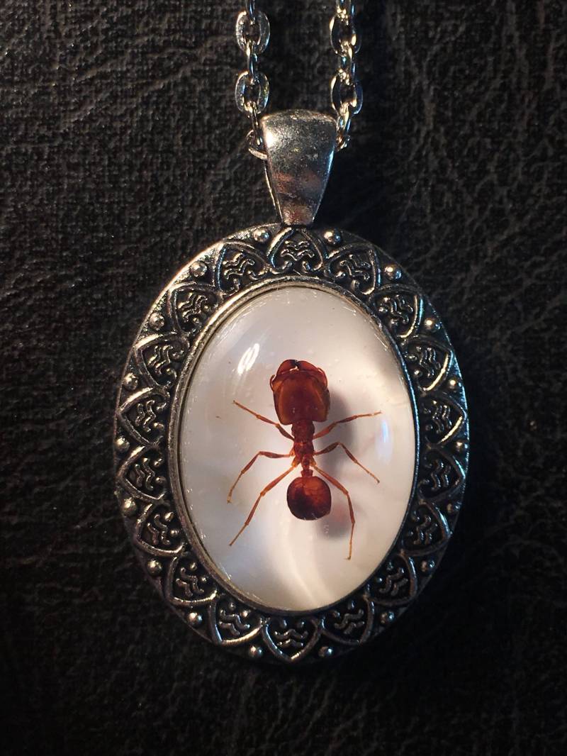 Riesige Rote Ameise Specimen Cameo Harz Entomologie Bug Echter Großer Kopf Ameisen Halskette Picknick Crasher Riesige Rote Ameise Specimen Cameo Harz Entomologie Bug Echter Großer Kopf Ameisen Halskette Picknick Crasher von TheCuriositeer