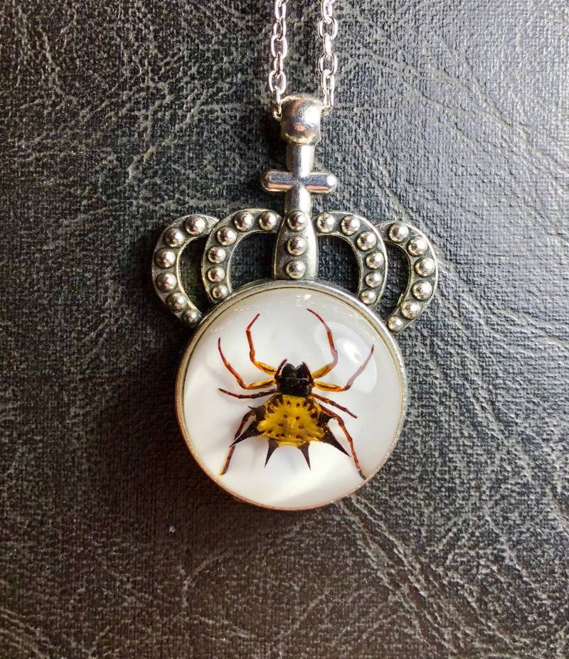 Royal Crown Echte Spinne Spiny Orb Weaver Specimen in Runde Harz Cameo Halskette Geier Kultur Arachnophobie Silber Ton Schmuck Royal Crown Echte Spinne Spiny Orb Weaver Specimen in Runde Harz Cameo Halskette Geier Kultur Arachnophobie Silber Ton Schmuck von TheCuriositeer