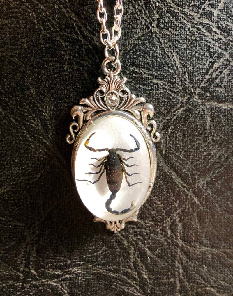 Skorpion Schwarzer Entomologie Totes Insekt Bug Exemplar in Harz Cameo Schild Silber Schriftrolle Halskette Skorpion Schwarzer Entomologie Totes Insekt Bug Exemplar in Harz Cameo Schild Silber Schriftrolle Halskette von TheCuriositeer