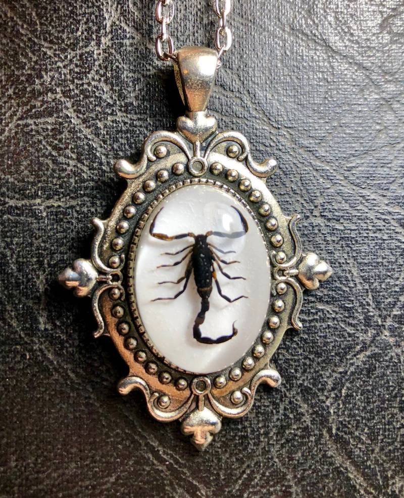 Skorpion Schwarzer Entomologie Totes Insekt Bug Exemplar in Harz Cameo Schild Silber Schriftrolle Halskette Skorpion Schwarzer Entomologie Totes Insekt Bug Exemplar in Harz Cameo Schild Silber Schriftrolle Halskette von TheCuriositeer