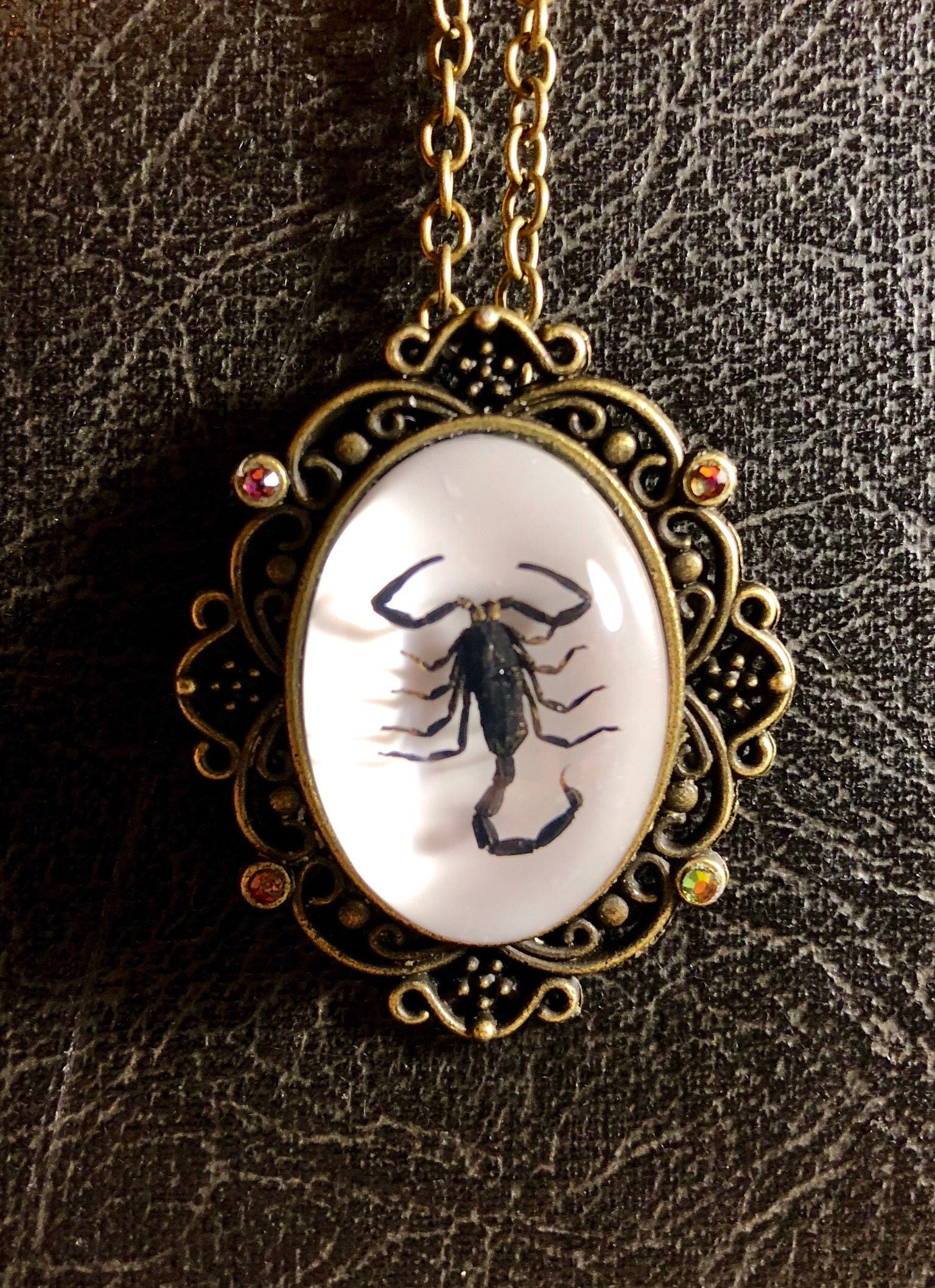 Skorpion Schwarzer Entomologie Totes Insekt Bug Specimen in Resin Cameo Mit Ab Color Shift Strasssteine Bronze Spitze Halskette von TheCuriositeer