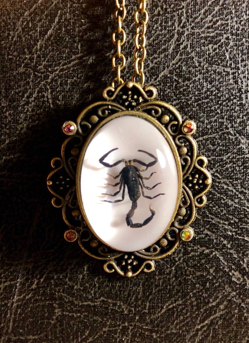 Skorpion Schwarzer Entomologie Totes Insekt Bug Specimen in Resin Cameo Mit Ab Color Shift Strasssteine Bronze Spitze Halskette von TheCuriositeer