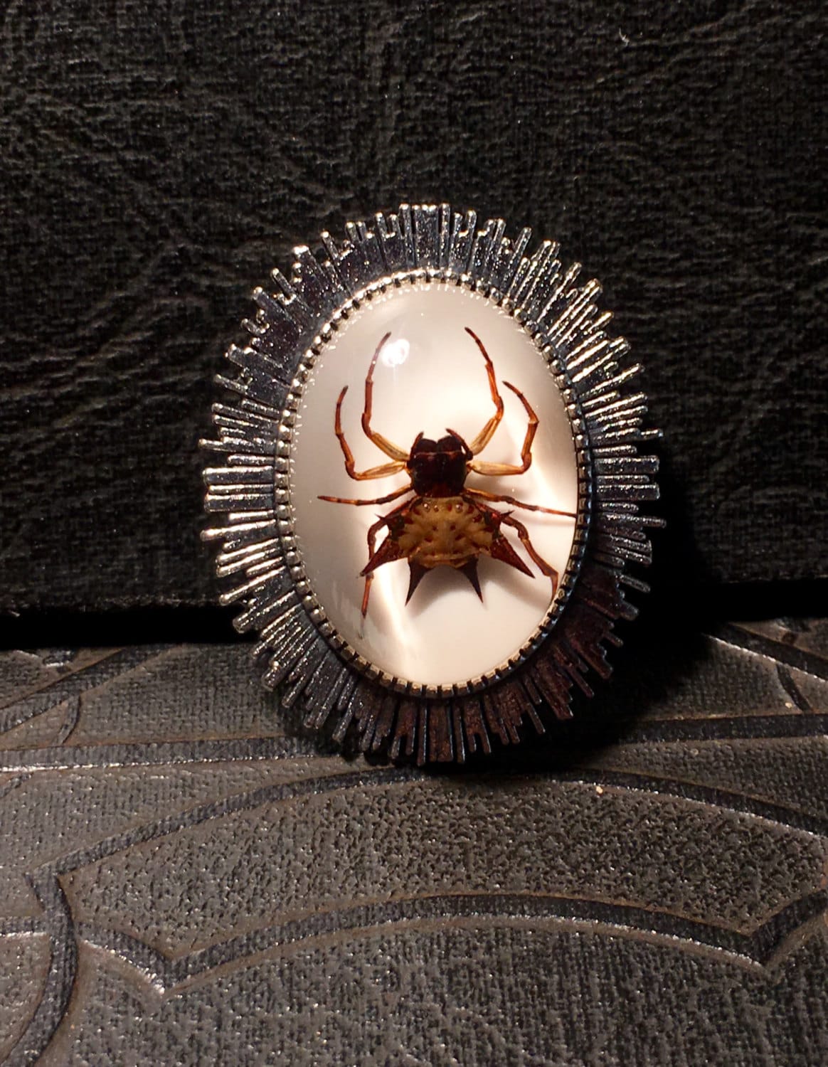 Spiked Spider Orb Weber Brosche Silberstrahl Des Lichtstrahls Konserviertes Spinnentier Specimen in Harz Cameo Pin Anstecknadel von TheCuriositeer