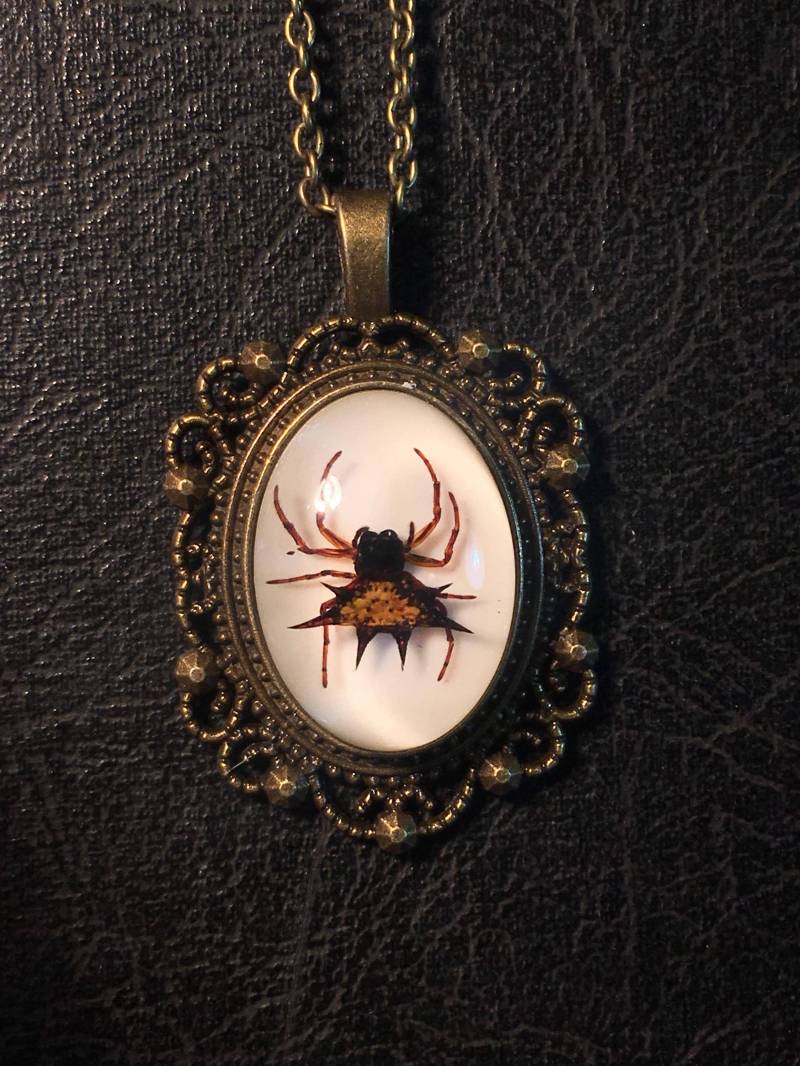 Spiked Spinne Spiny Orb Weaver Specimen in Resin Cameo Bronze Halskette Geier Kultur Arachnophobie Echte Kuriosität Schmuck von TheCuriositeer