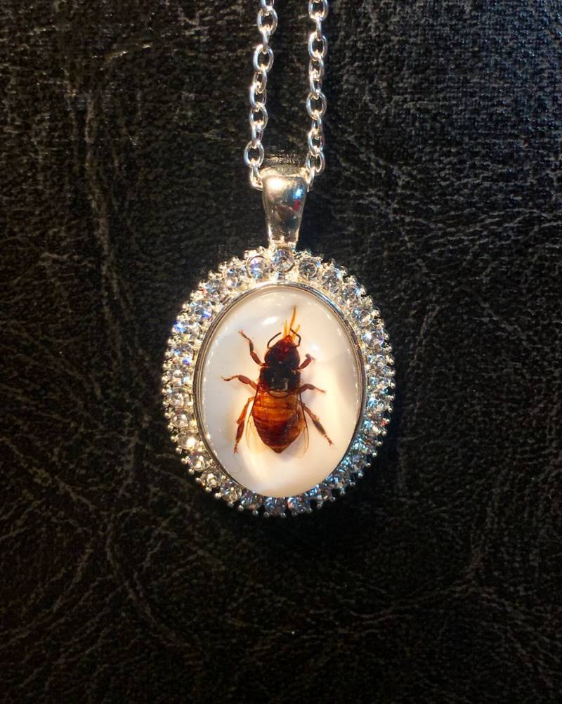 strass Sparkle Echte Honig Biene Exemplar in Harz Cameo Klar Glassteine Queen Vulture Kultur Lux Halskette strass Sparkle Echte Honig Biene Exemplar in Harz Cameo Klar Glassteine Queen Vulture Kultur Lux Halskette von TheCuriositeer