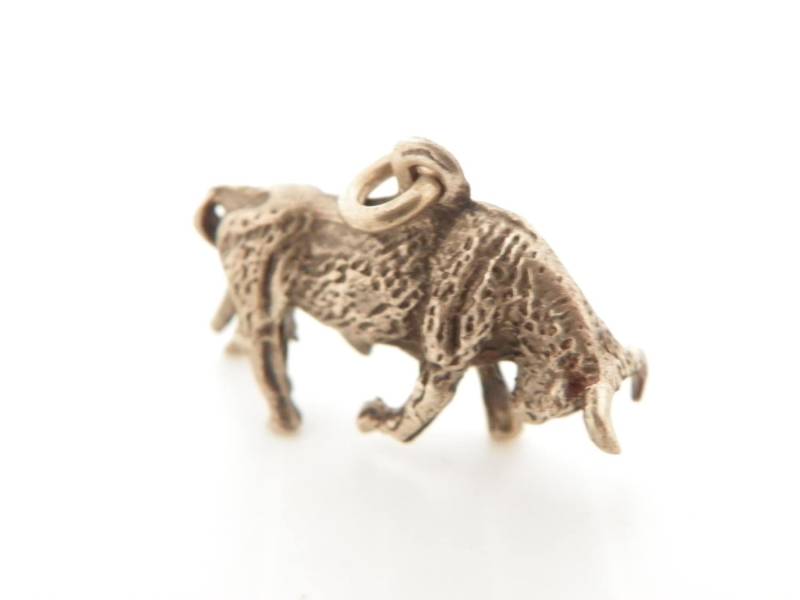 Fighting Bull-Charme von TheLostAmerican