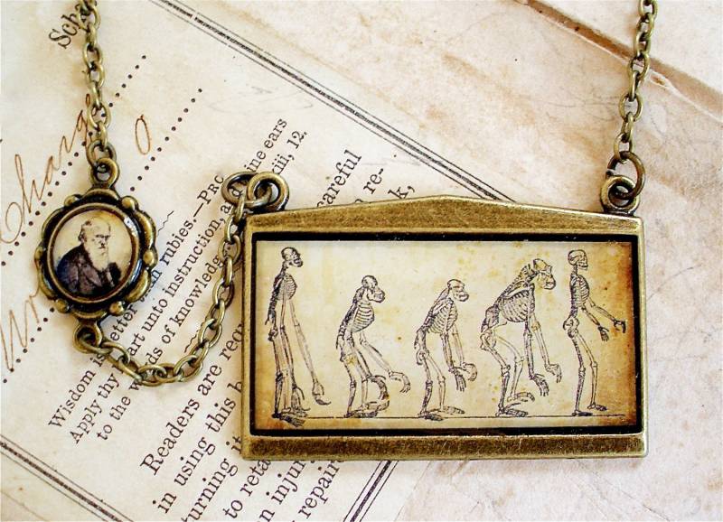 Darwin Halskette - Evolution Anhänger in Bronze Oder Silber Finish Charles Science Jewelry von TheLysineContingency