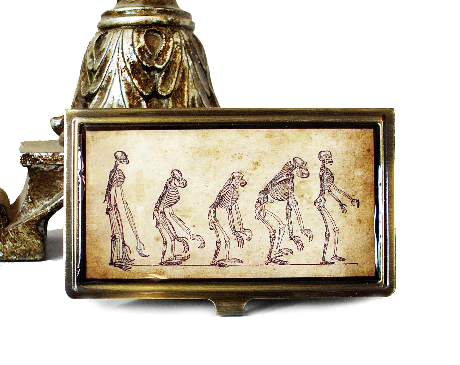 Evolution Kartenetui - Id Case Portemonnaie in Gebürstetem Messing Finish Evolution Kartenetui - Id Case Portemonnaie in Gebürstetem Messing Finish von TheLysineContingency