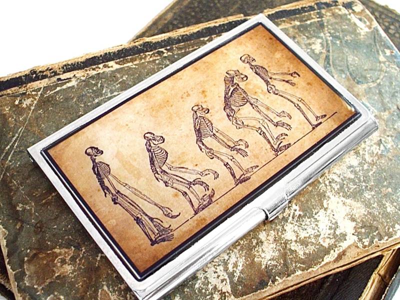 Sale - Evolution Kartenetui Id Case Portemonnaie von TheLysineContingency