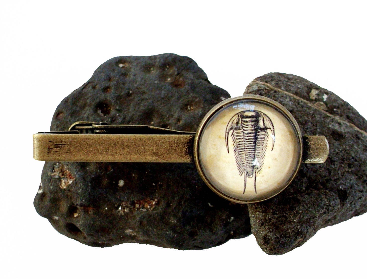 Trilobit Krawattenklammer - Fossilien in Bronze Oder Silber Finish Dinosaurier Hochzeit Paläontologe von TheLysineContingency