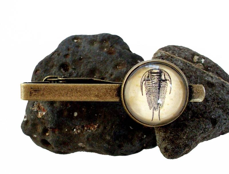 Trilobit Krawattenklammer - Fossilien in Bronze Oder Silber Finish Dinosaurier Hochzeit Paläontologe von TheLysineContingency