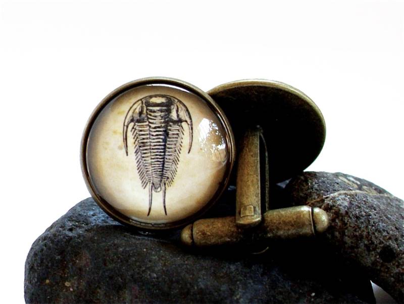 Trilobit Manschettenknöpfe - Fossile in Bronze Oder Silber Paleontologie Wissenschaft Kambrian von TheLysineContingency