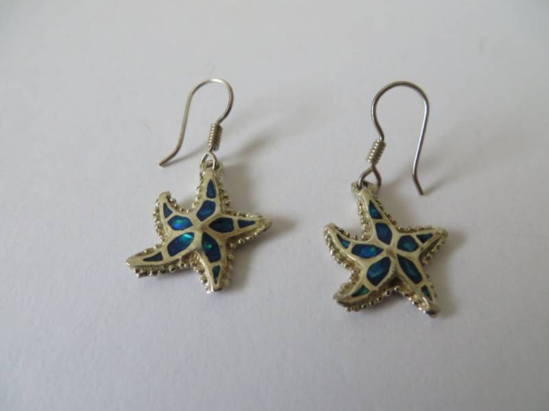 Vintage Silber Ton Blau Perlmutt Stern Fischhaken Ohrringe von ThePJCompany