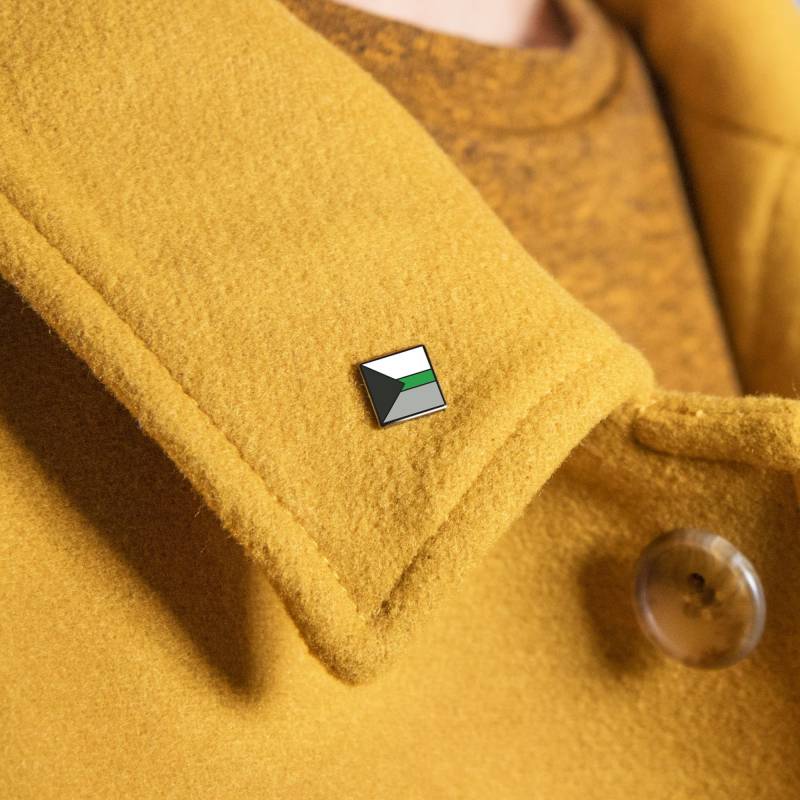 Mini Demiromantic Pride Pin - Aro Lgbt Demi Flaggenabzeichen Kleines Aromantic Aroace Acearo Aspec Accessoire Lanyard Aufkleber Geschenk von ThePinPrick
