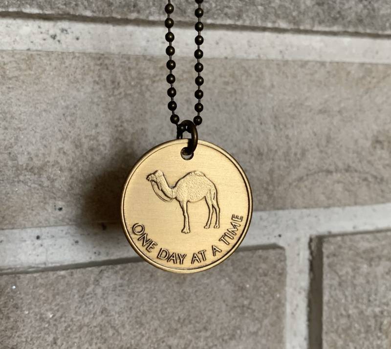 One Day At A Time Camel Aa Token Chip Halskette Genesung Für Männer Und Frauen von ThePricklyLotus
