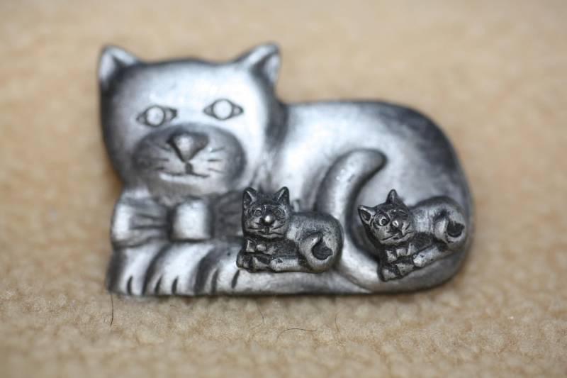 Süße Zinn Katze Pin Mit Inset Abnehmbare Kätzchen Ohrringe Set Süße Zinn Katze Pin Mit Inset Abnehmbare Kätzchen Ohrringe Set von TheShackon98