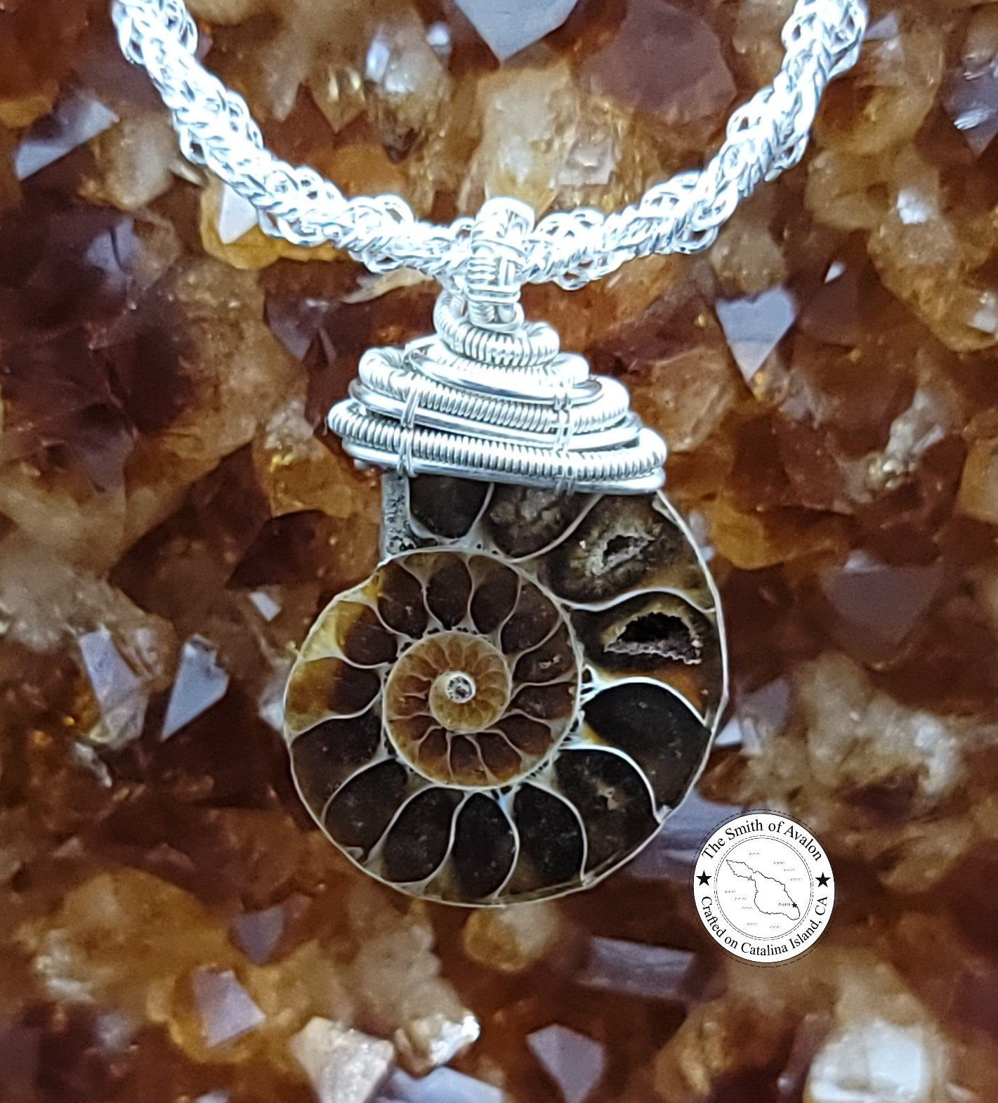 Ammonit Fossil Sterling Silber Anhänger, Wire Wrapped, Custom, Handmade, Draht Gewebte Halskette, Einzigartige Geschenkidee, Catalina Island Ammonit Fossil Sterling Silber Anhänger, Wire Wrapped, Custom, Handmade, Draht Gewebte Halskette, Einzigartige Geschenkidee, Catalina Island von TheSmithofAvalon