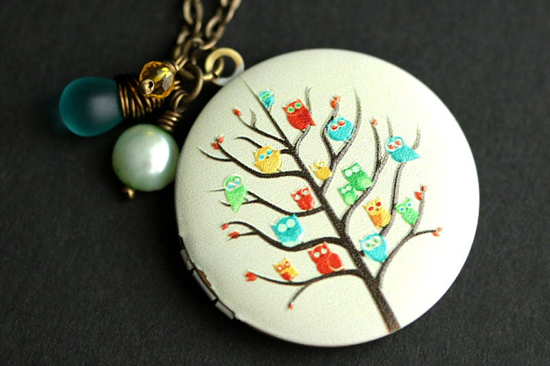 Eulen-Familie Locket Halskette. Regenbogen Eule Halskette Mit Türkis Träne, Süßwasser Perle, Und Gelber Kristall. Eulen-Medaillon. Bronze Kette von TheTeardropShop