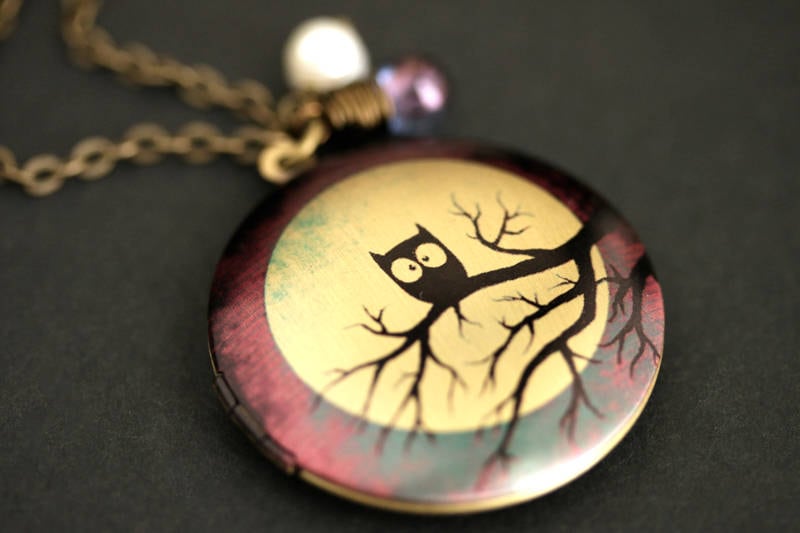 Hoot Eule Locket Halskette. Eulen Halskette Mit Irisierendem Lila Tropfen Und Süsswasserperle. Mond Locket. Bronze Kette von TheTeardropShop