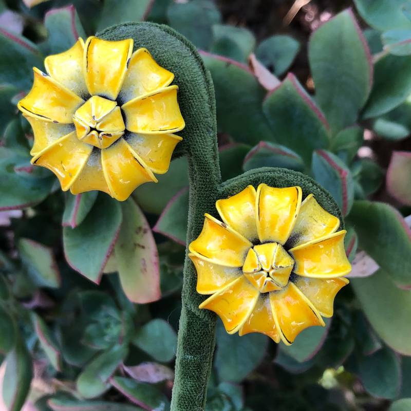 Signierte Coro Gelbe Flower Power Ohrclips - Emaille Mid-Century Mums Herbstblumen von TheWickedGarden