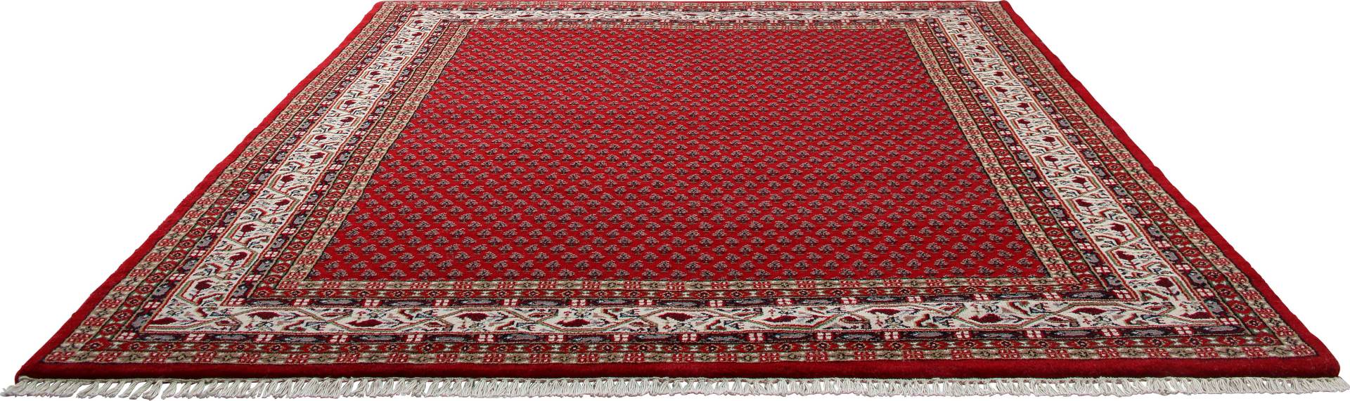 THEKO Orientteppich "Chandi Mir", rechteckig, 12 mm Höhe, reine Wolle, handgeknüpft, mit Fransen THEKO Orientteppich "Chandi Mir", rechteckig, 12 mm Höhe, reine Wolle, handgeknüpft, mit Fransen von Theko