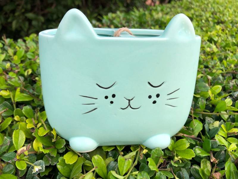 Halter Kitty Form Bilden Halter Kitty Form Bilden von ThemeowStoredesigns