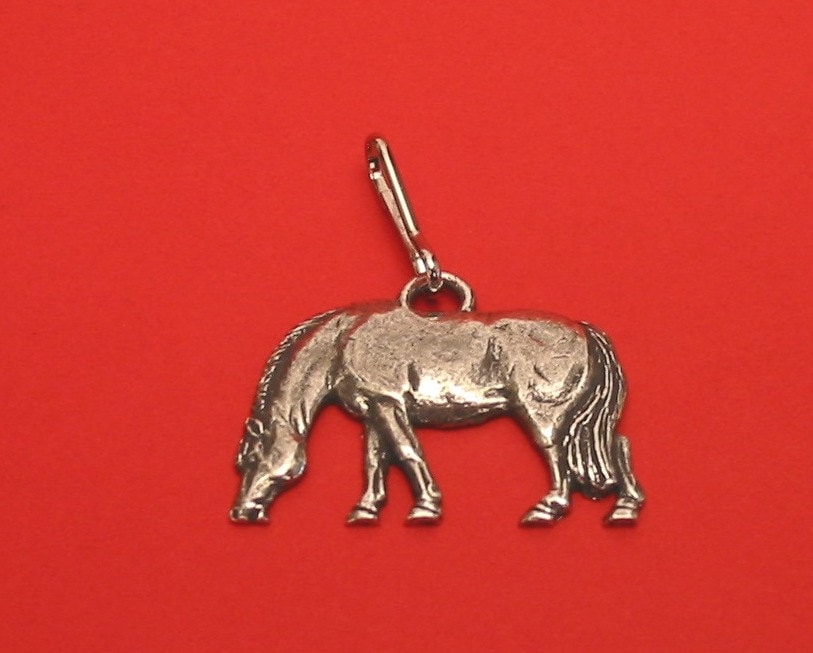 Beweidung Pony Zinn Motiv Zipper Pull Vater Mutter Pferd Geschenk Beweidung Pony Zinn Motiv Zipper Pull Vater Mutter Pferd Geschenk von ThimblesnObjectDart