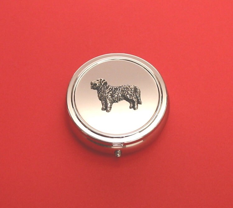Golden Retriever Pewter Motiv Auf Runder Chrom Mint/Pillendose Mutter Vater Weihnachtsgeschenk Golden Retriever Pewter Motiv Auf Runder Chrom Mint/Pillendose Mutter Vater Weihnachtsgeschenk von ThimblesnObjectDart