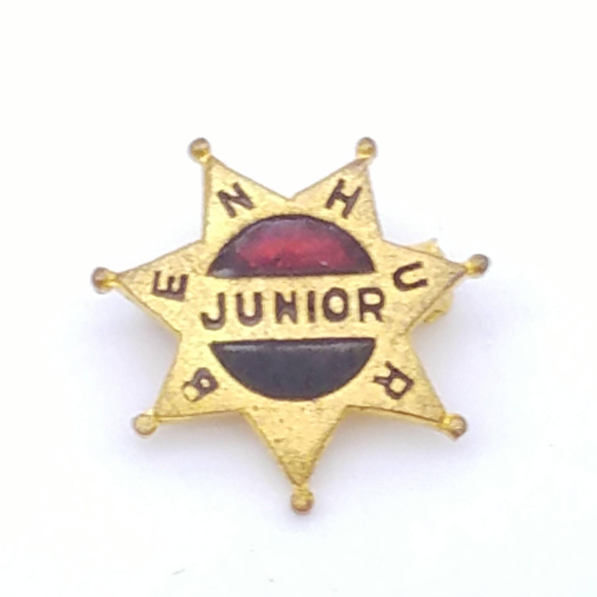 1920Er Jahre Ben Hur Junior Mitglied Hut/Anstecknadel, Jm von ThingsGrandmaKept