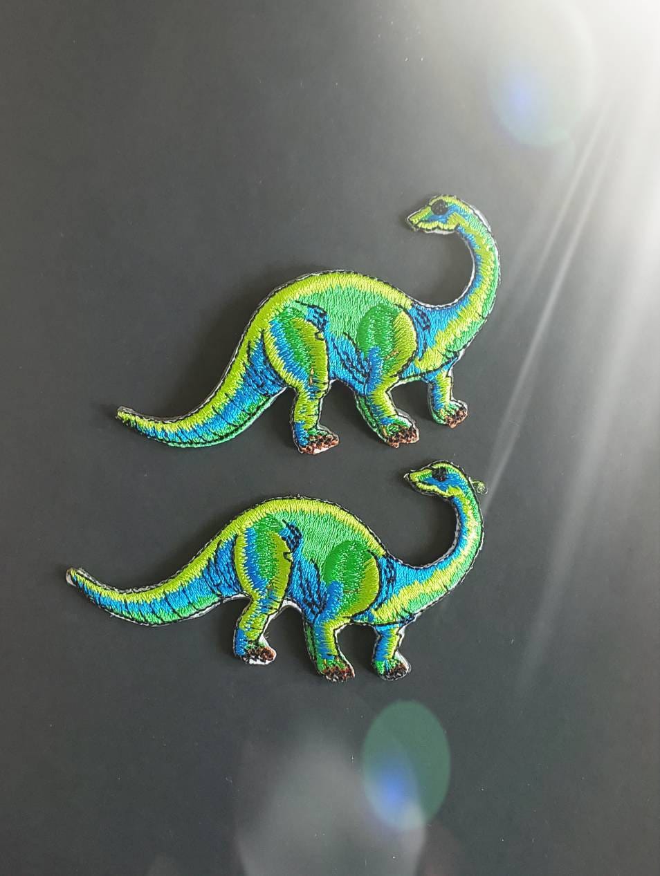 2 Stück T-Rex Dinosaurier Gestickte Aufnäher von ThinkPatchCo