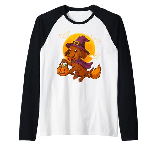 Süßer Dackel Hexe Kürbis Halloween Kostüm Jungen Mädchen Raglan von This is how I Halloween Keep Halloween Simple