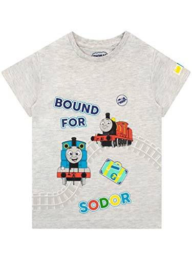 Thomas und seine Freunde Thomas & Friends Jungen T-Shirt Grau 104 von Thomas und seine Freunde