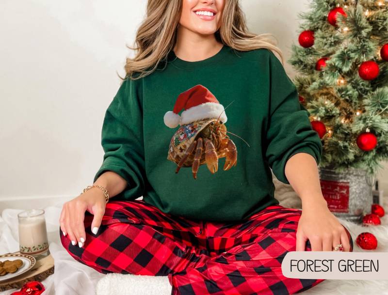 Einsiedlerkrebs Weihnachtssweatshirt, Pullover, Weihnachtsgeschenk, Einsiedlerkrebs-Liebhaber-Geschenk, Meeresbiologie-Sweatshirt, Krabben-Liebhaber von ThomasonDesignsShop