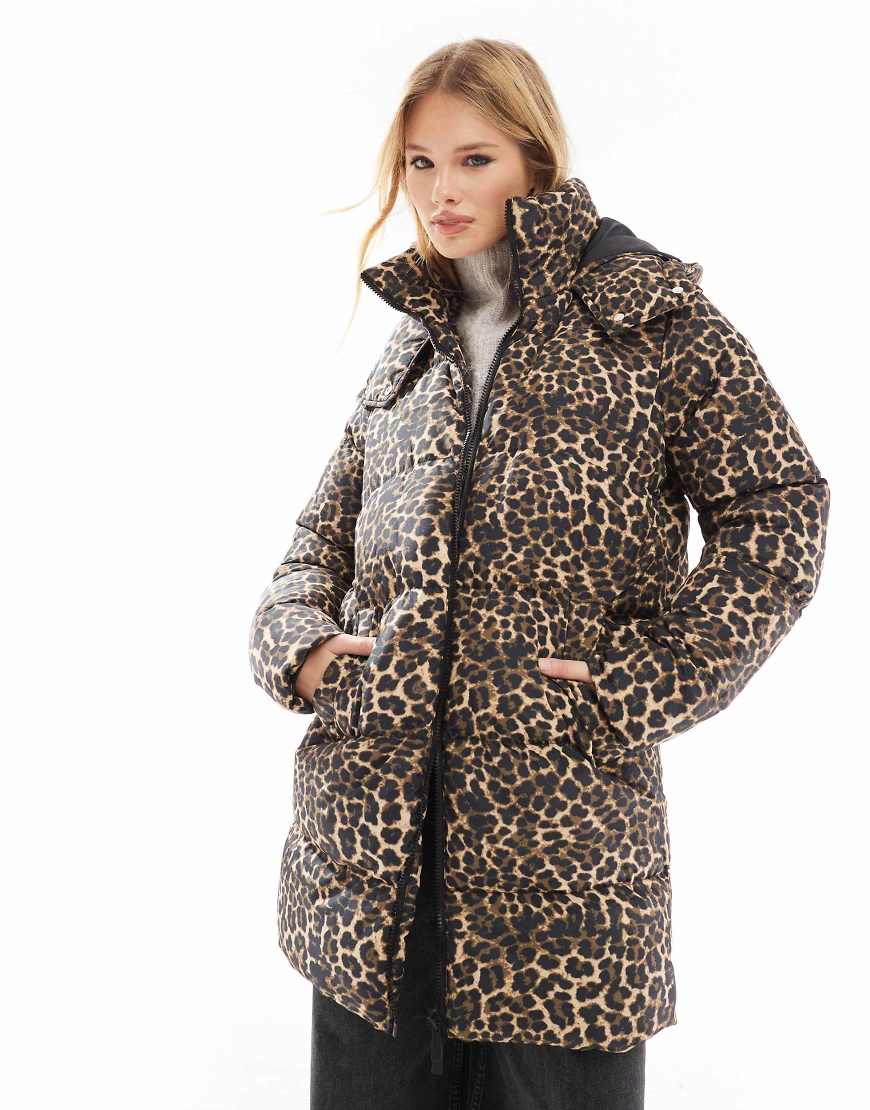 Threadbare - Mittellange Pufferjacke mit Leopardenmuster-Bunt von Threadbare