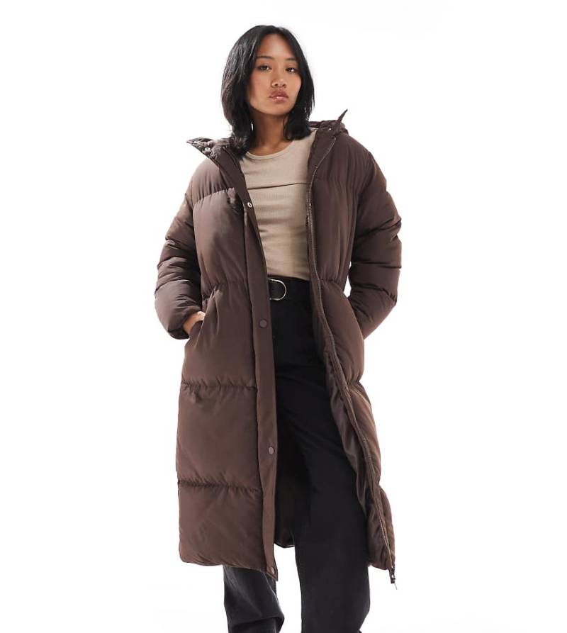 Threadbare Petite - Langer Puffer-Mantel in Braun mit Kapuze von Threadbare