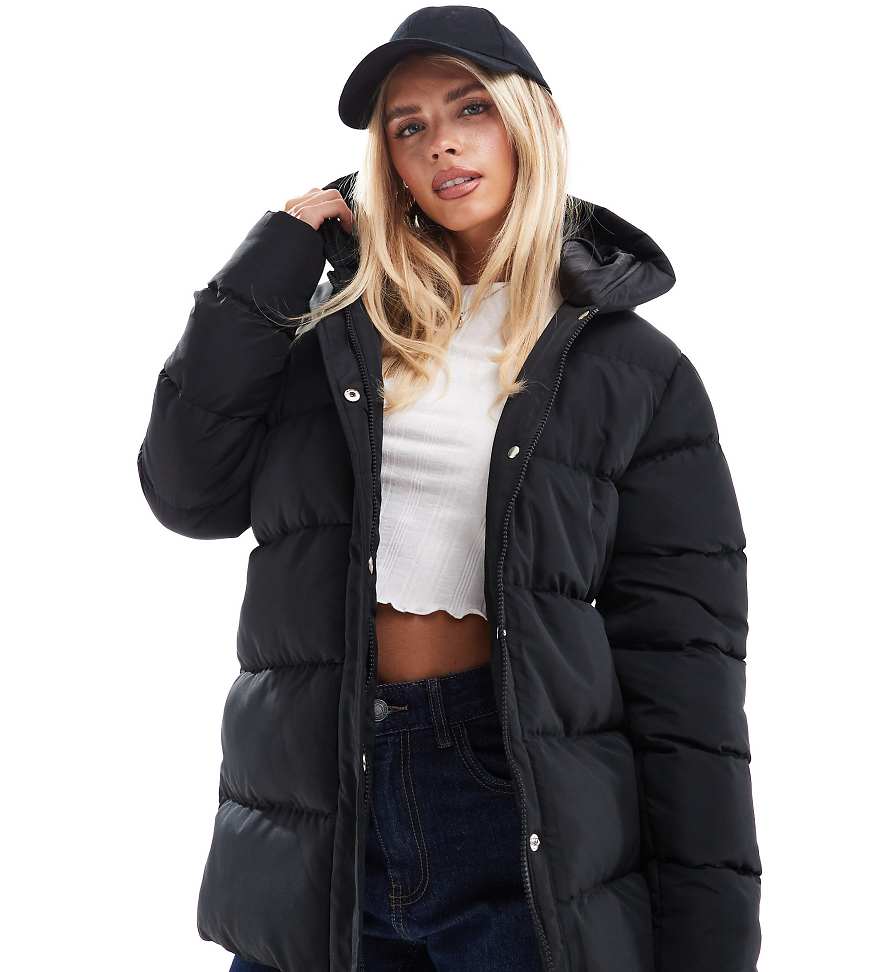 Threadbare Petite - Mittellange Pufferjacke in Schwarz Threadbare Petite - Mittellange Pufferjacke in Schwarz von Threadbare