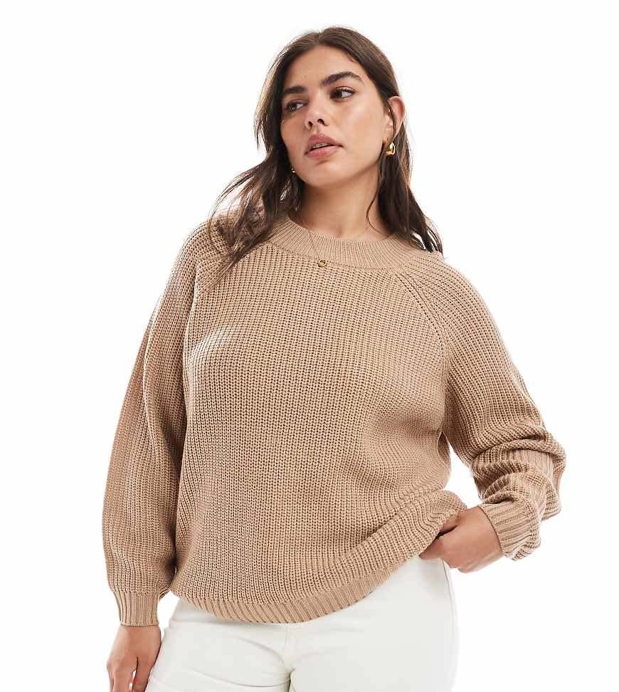 Threadbare Plus - Pullover in warmem Taupe mit Rundhalsausschnitt-Neutral von Threadbare