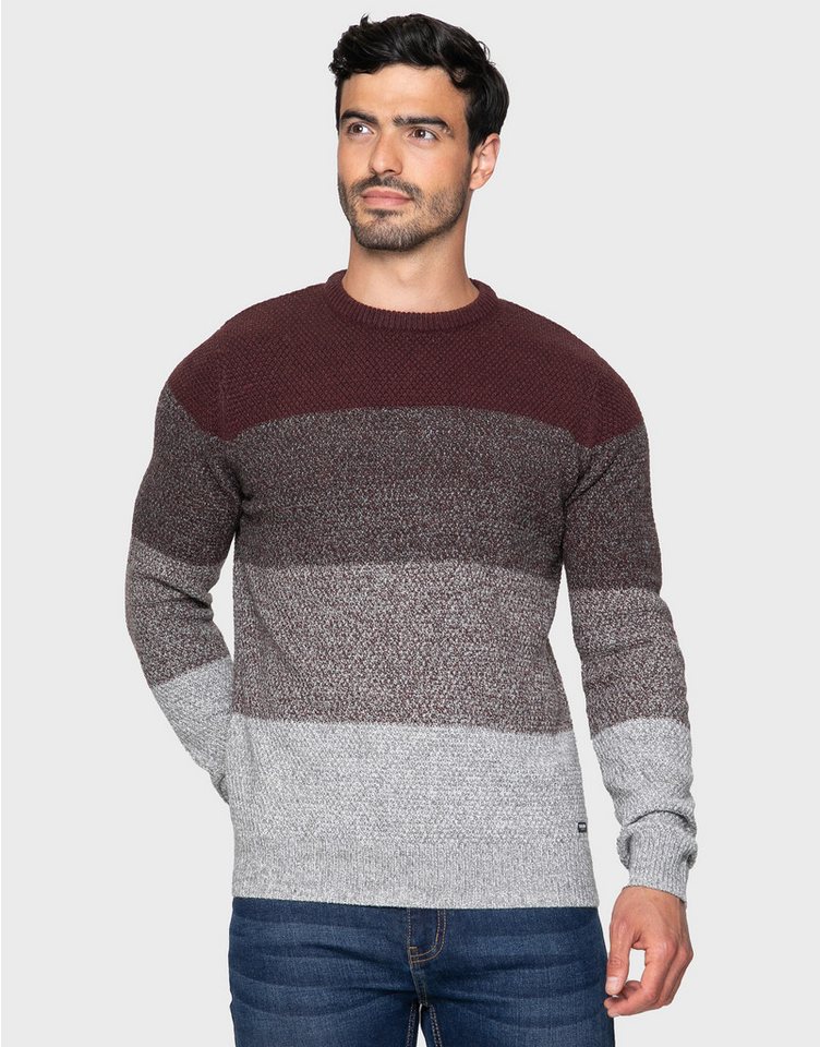 Threadbare Rundhalspullover Aeron (1-tlg) im angesagten Grobstrick-Design von Threadbare