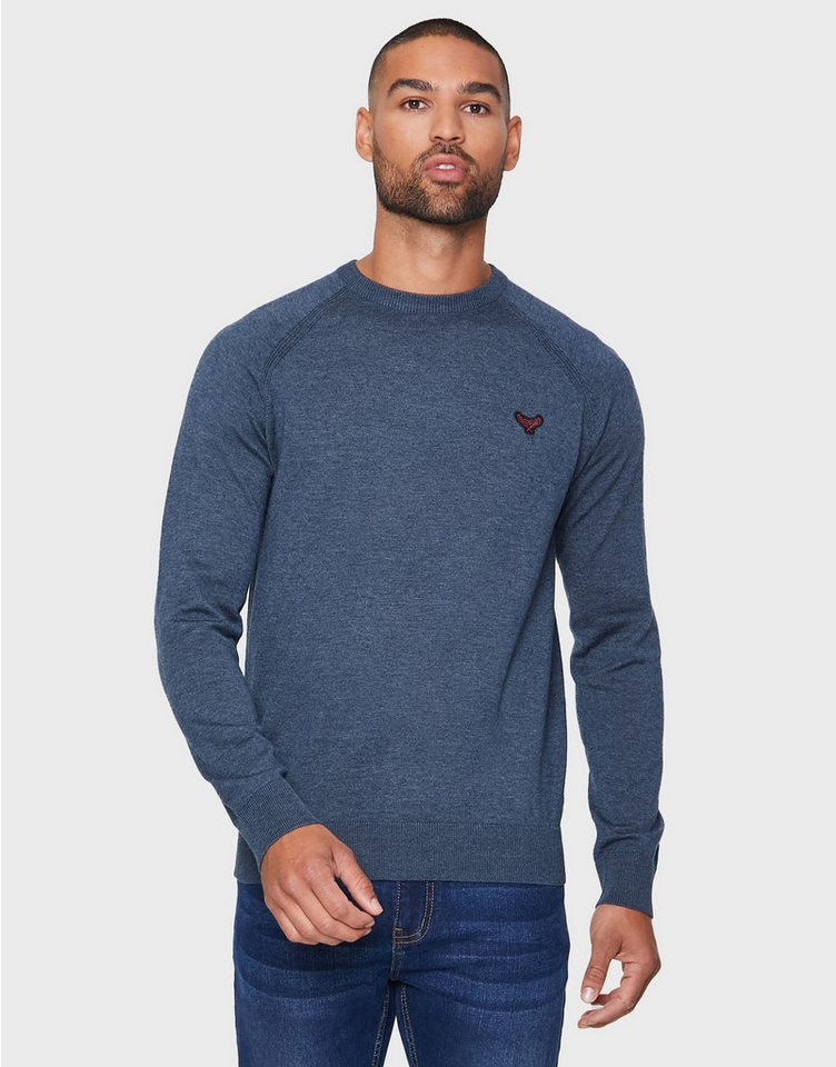 Threadbare Rundhalspullover Maned im schlichten Design von Threadbare