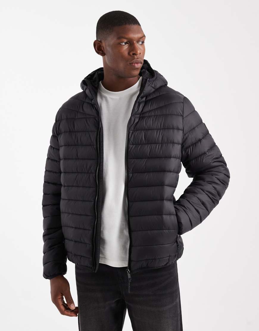 Threadbare - Steppjacke in Schwarz mit Stehkragen Threadbare - Steppjacke in Schwarz mit Stehkragen von Threadbare