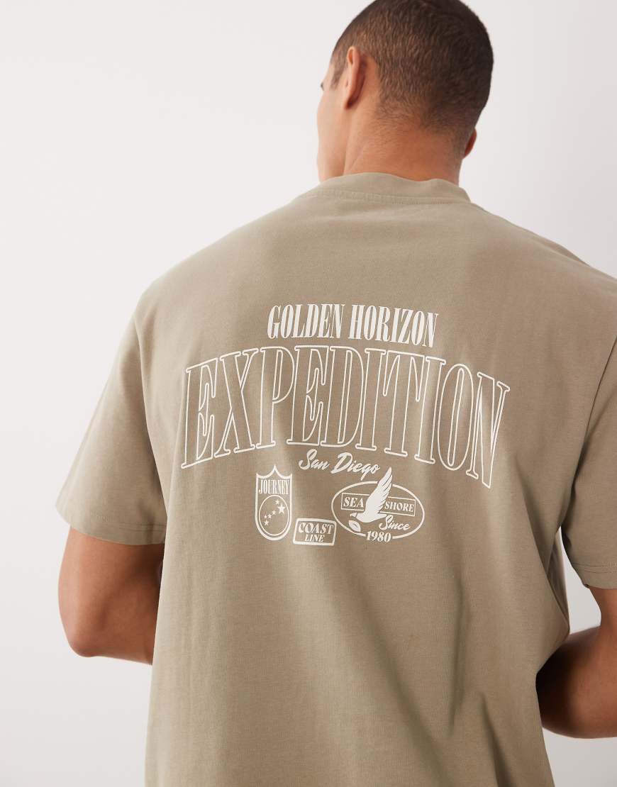 Threadbare - T-Shirt in Steinbeige mit Grafikprint auf dem Rücken-Neutral von Threadbare