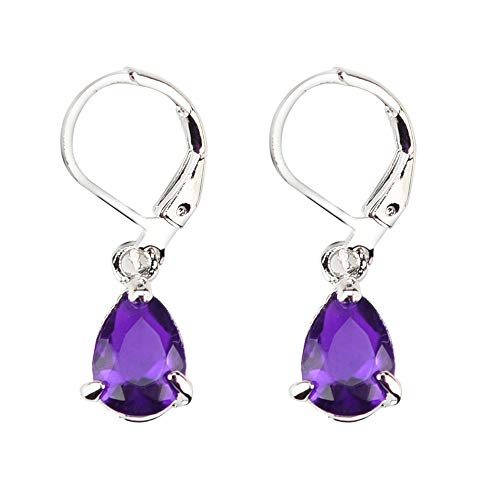 TianWlio Ohrringe Ohrhänger Kristall Anhänger Silber Drop 925 Amethyst Silber Hochzeit Ohrringe Schneidschmuck charmanter Ohrringe Ohrstecker Frauen Kristall Hochzeiten Verlobungen (Purple, One Size) von TianWlio